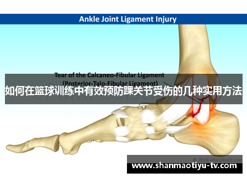 如何在篮球训练中有效预防踝关节受伤的几种实用方法